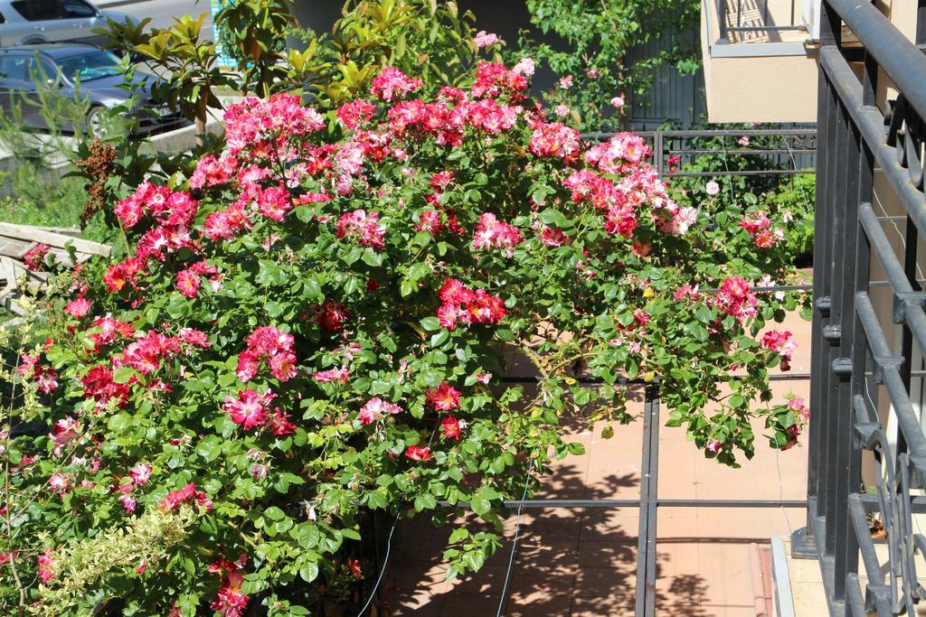 Flowers Apartments Nesebar Luaran gambar